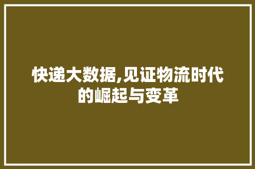 快递大数据,见证物流时代的崛起与变革 必应SEO