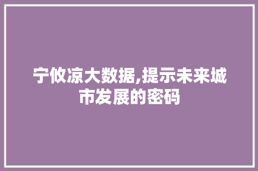 宁攸凉大数据,提示未来城市发展的密码 必应SEO
