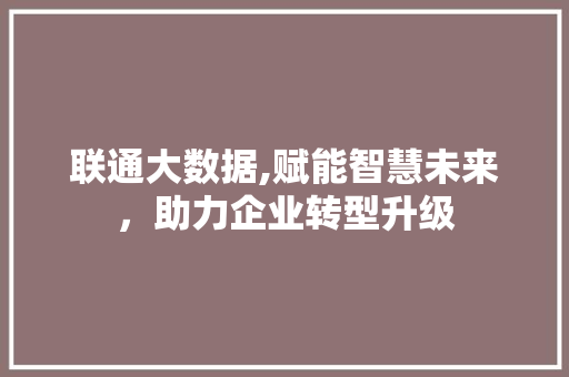 联通大数据,赋能智慧未来，助力企业转型升级 必应SEO