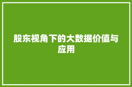 股东视角下的大数据价值与应用 必应SEO