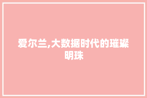 爱尔兰,大数据时代的璀璨明珠 百度SEO