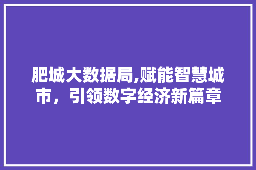 肥城大数据局,赋能智慧城市，引领数字经济新篇章 SEO关键词