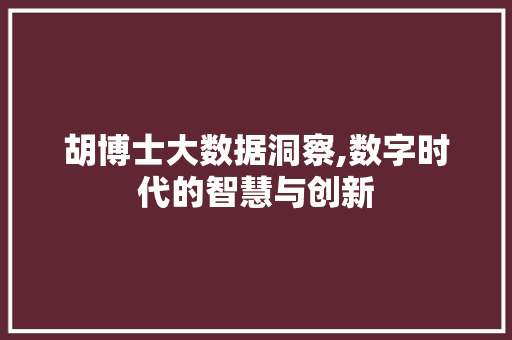 胡博士大数据洞察,数字时代的智慧与创新 百度SEO