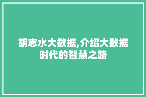胡志水大数据,介绍大数据时代的智慧之路 搜狗SEO