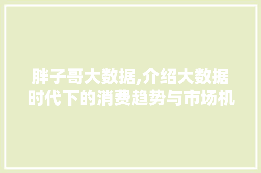胖子哥大数据,介绍大数据时代下的消费趋势与市场机遇 搜狗SEO