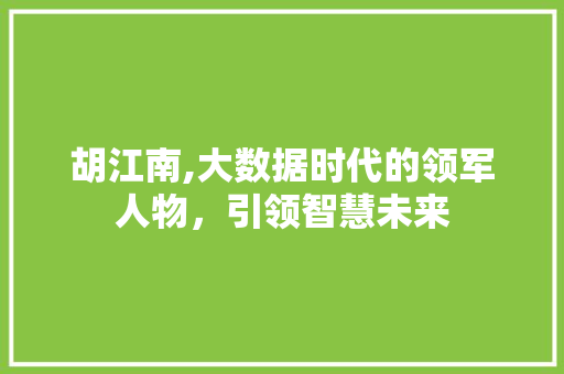 胡江南,大数据时代的领军人物，引领智慧未来 必应SEO