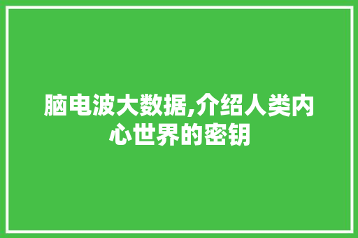 脑电波大数据,介绍人类内心世界的密钥 网站建设公司