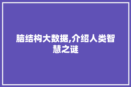 脑结构大数据,介绍人类智慧之谜 网站建设公司