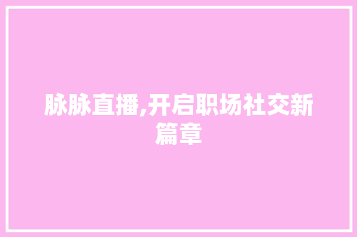 脉脉直播,开启职场社交新篇章 神马SEO
