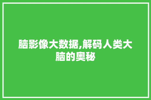 脑影像大数据,解码人类大脑的奥秘 SEO关键词
