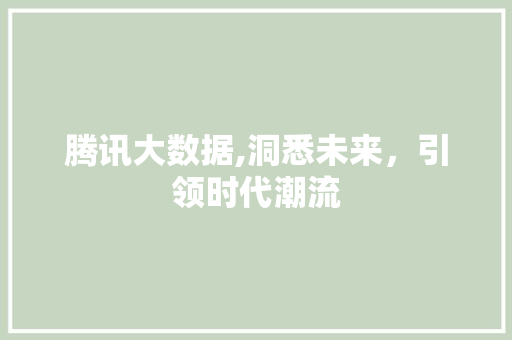 腾讯大数据,洞悉未来，引领时代潮流 神马SEO