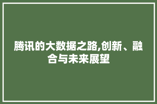 腾讯的大数据之路,创新、融合与未来展望 网站建设公司