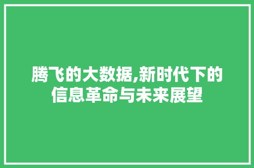 腾飞的大数据,新时代下的信息革命与未来展望 必应SEO