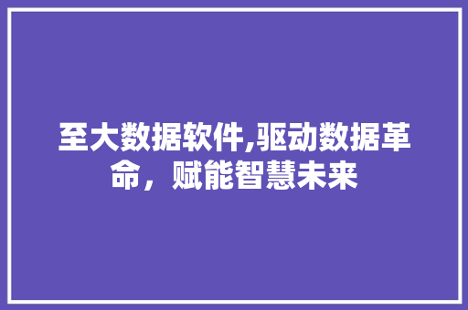 至大数据软件,驱动数据革命，赋能智慧未来 网站建设公司