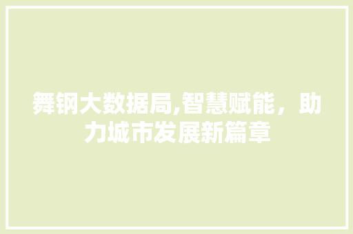舞钢大数据局,智慧赋能，助力城市发展新篇章 百度SEO