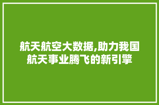航天航空大数据,助力我国航天事业腾飞的新引擎 网站建设公司