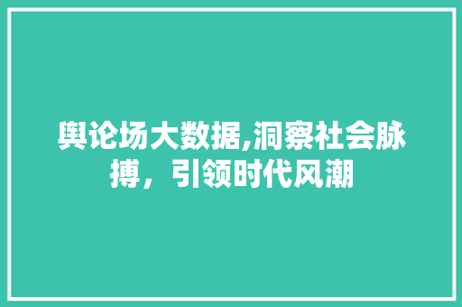 舆论场大数据,洞察社会脉搏，引领时代风潮 神马SEO