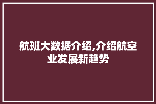 航班大数据介绍,介绍航空业发展新趋势 网站建设公司
