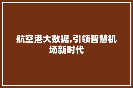 航空港大数据,引领智慧机场新时代 百度SEO