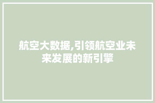 航空大数据,引领航空业未来发展的新引擎 神马SEO
