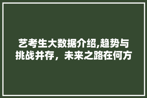 艺考生大数据介绍,趋势与挑战并存，未来之路在何方 百度SEO