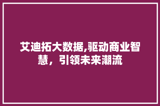 艾迪拓大数据,驱动商业智慧，引领未来潮流 网站建设公司