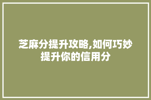 芝麻分提升攻略,如何巧妙提升你的信用分 百度SEO