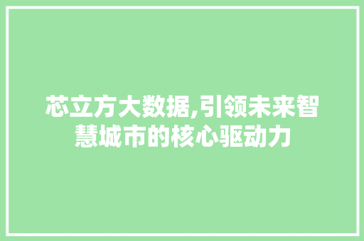 芯立方大数据,引领未来智慧城市的核心驱动力 百度SEO