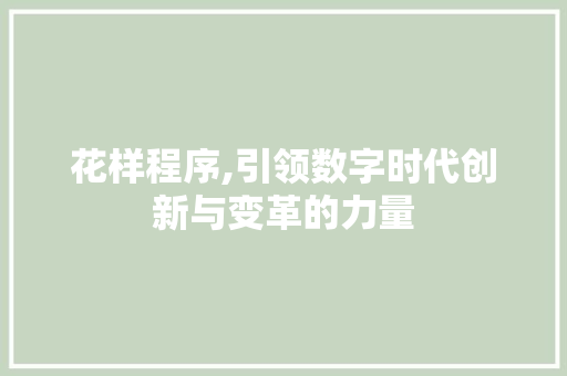 花样程序,引领数字时代创新与变革的力量 网站建设公司