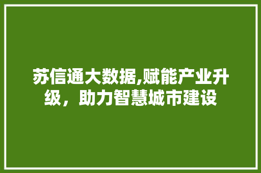苏信通大数据,赋能产业升级，助力智慧城市建设 神马SEO