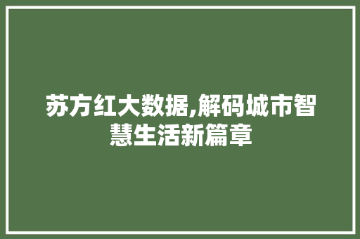 苏方红大数据,解码城市智慧生活新篇章 SEO关键词