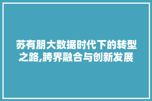 苏有朋大数据时代下的转型之路,跨界融合与创新发展的典范 必应SEO