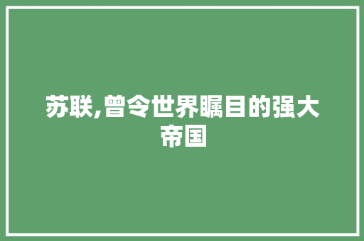 苏联,曾令世界瞩目的强大帝国 网站建设公司