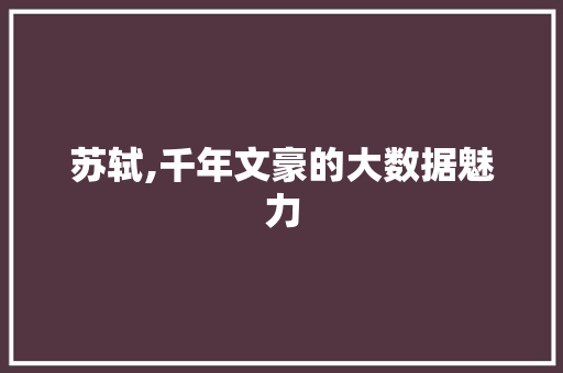 苏轼,千年文豪的大数据魅力 SEO关键词