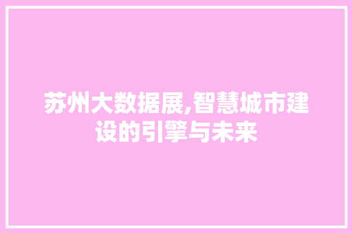 苏州大数据展,智慧城市建设的引擎与未来 神马SEO