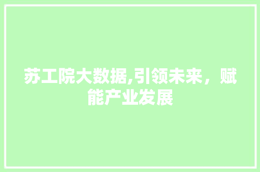 苏工院大数据,引领未来，赋能产业发展 必应SEO