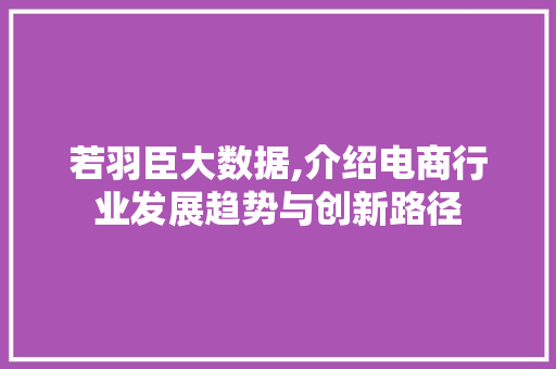 若羽臣大数据,介绍电商行业发展趋势与创新路径 SEO关键词