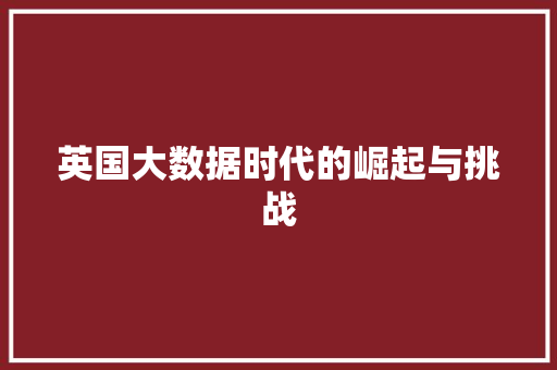 英国大数据时代的崛起与挑战 百度SEO