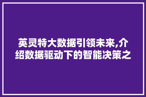 英灵特大数据引领未来,介绍数据驱动下的智能决策之路 必应SEO