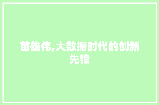 苗雄伟,大数据时代的创新先锋 必应SEO