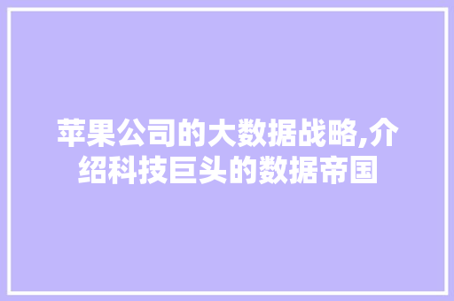 苹果公司的大数据战略,介绍科技巨头的数据帝国 必应SEO