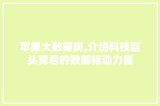 苹果大数据岗,介绍科技巨头背后的数据驱动力量 必应SEO