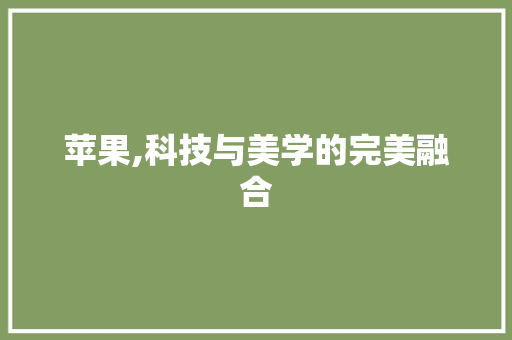 苹果,科技与美学的完美融合 网站建设公司