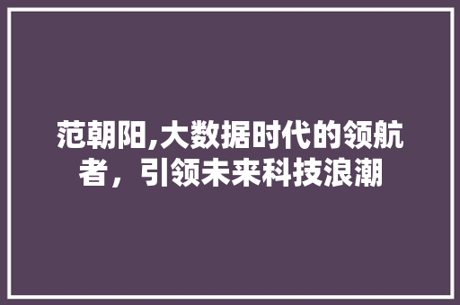 范朝阳,大数据时代的领航者，引领未来科技浪潮 神马SEO
