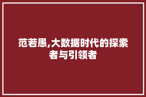 范若愚,大数据时代的探索者与引领者 SEO关键词