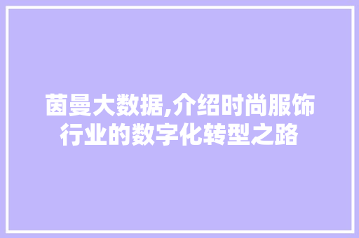 茵曼大数据,介绍时尚服饰行业的数字化转型之路 SEO关键词