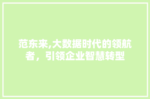 范东来,大数据时代的领航者，引领企业智慧转型 SEO关键词
