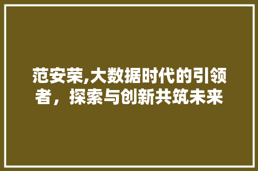 范安荣,大数据时代的引领者，探索与创新共筑未来 SEO关键词