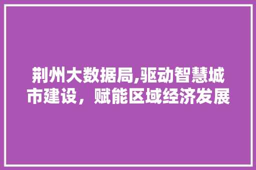 荆州大数据局,驱动智慧城市建设，赋能区域经济发展 神马SEO