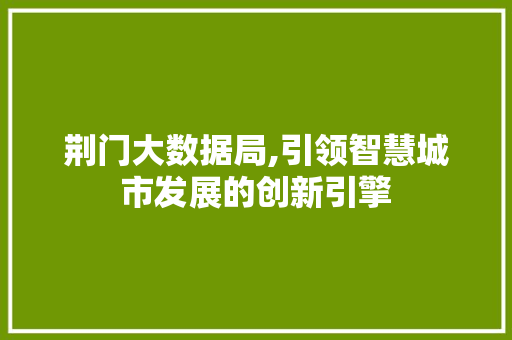 荆门大数据局,引领智慧城市发展的创新引擎 神马SEO